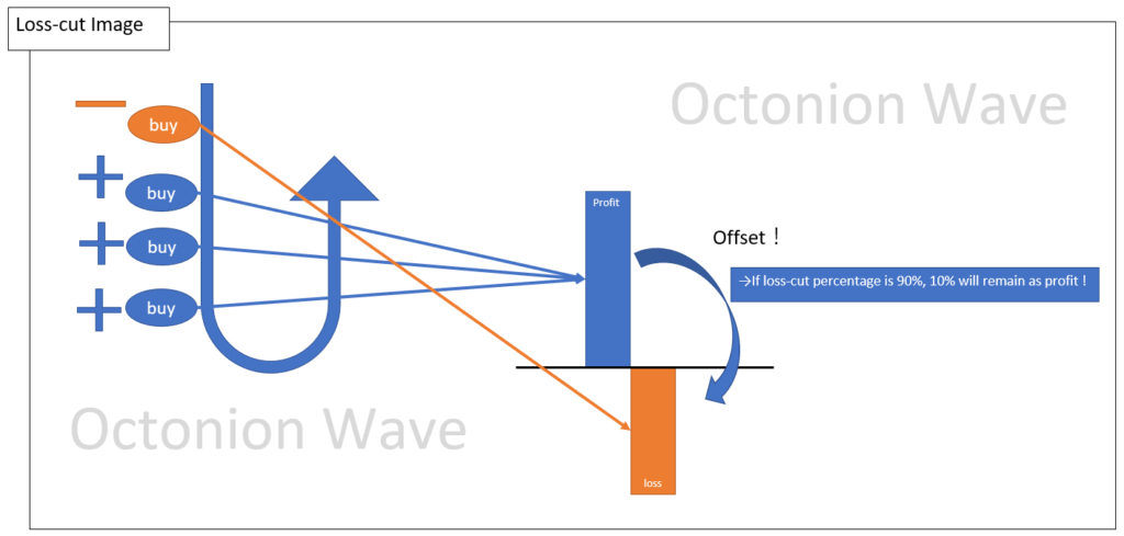 OctonionWave loss-cut image.